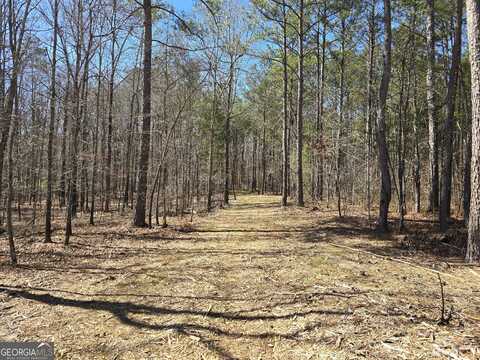 05 Bolton, Zebulon, GA 30295