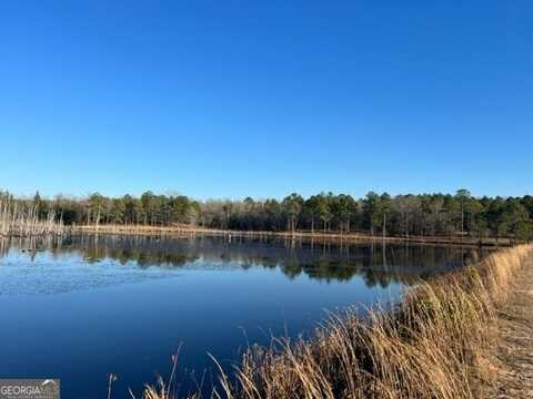 010 Mallard Circle, Butler, GA 31006