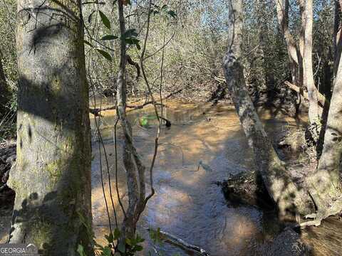 004 Mt Sinai church Rd., Butler, GA 31006