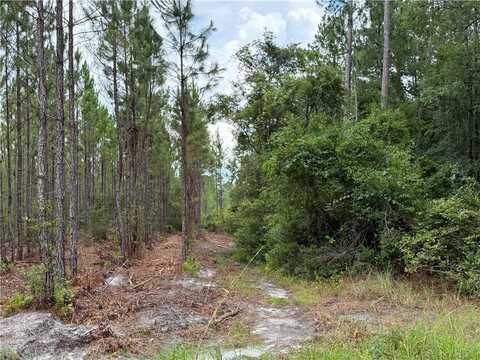 0 (lot 1) Corbitt Road, Manor, GA 31550