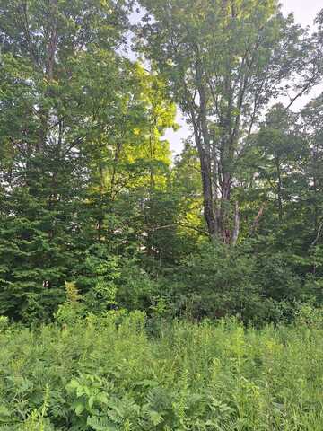 00 14 Mile Rd, Leroy, MI 49655