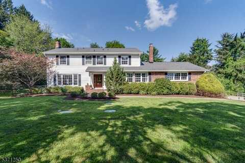 13 Cherry Ln, Mendham, NJ 07945