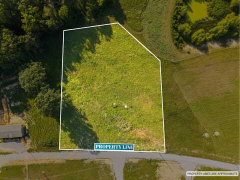 Lot 38 Spring Branch Hollow Road, Nancy, KY 42544