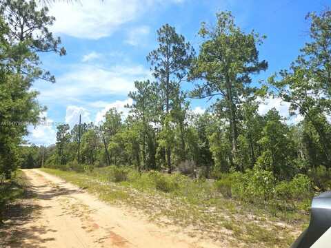118 Utah, Other City - In The State Of Florida, FL 32640