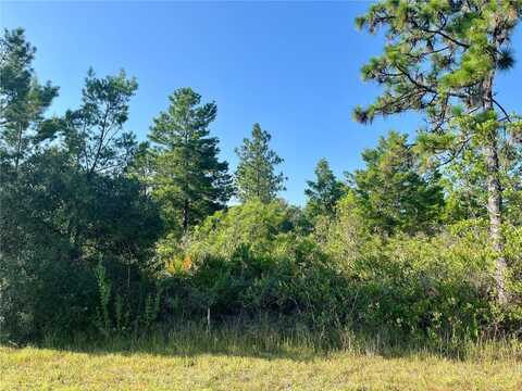 0 BOUGAINVILLE DRIVE, INDIAN LAKE ESTATES, FL 33855