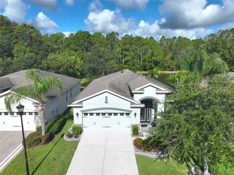 9941 SAUNTON DRIVE, SAN ANTONIO, FL 33576