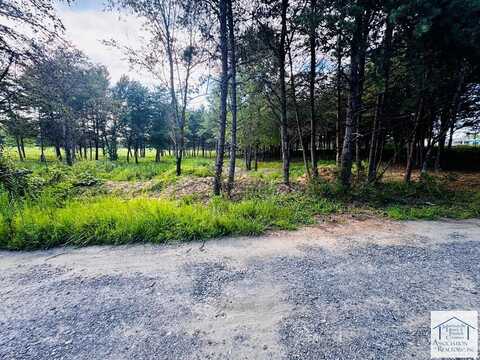 0 Obie Road, Axton, VA 24054