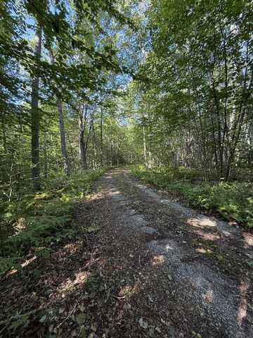 Part Of Map 7 Lot 48-A Nelson Ridge Road S, Washington, ME 04574