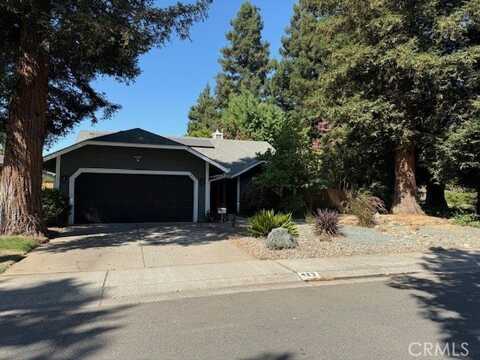 493 Autumn Gold Drive, Chico, CA 95973