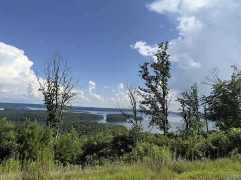 Lot 47 Fall Creek Drive, Guntersville, AL 35976