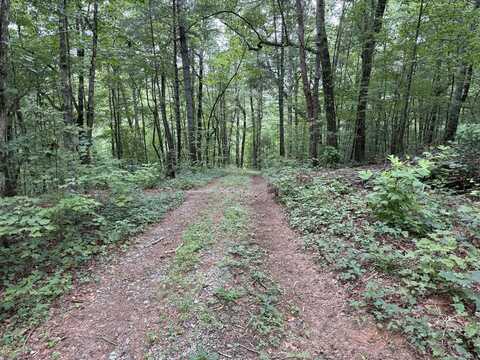 Lot 18 Larue Lane, Ellijay, GA 30540