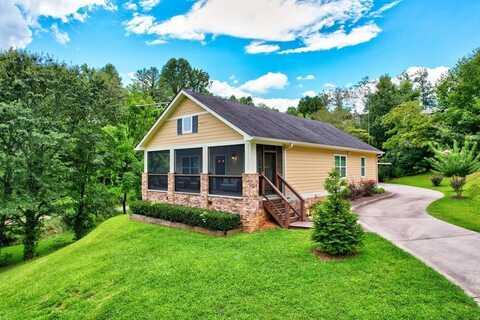 18 Depot Street, Blue Ridge, GA 30513