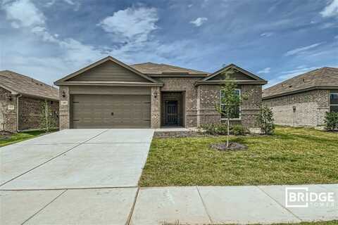 181 Banjo Trail, Newark, TX 76071