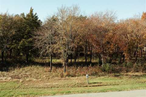 307 Cedar Creek Landing Lane, Mabank, TX 75143