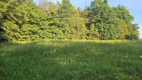 002 Tomahawk Slab Road, Saint Joe, AR 72675