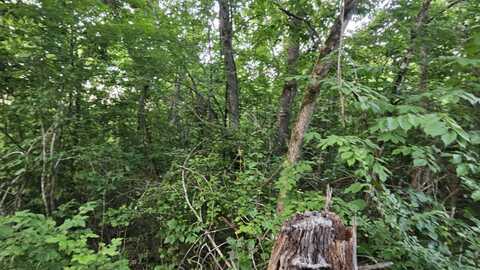 006 Tomahawk Slab Road, Saint Joe, AR 72675