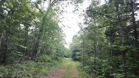 009 Tomahawk Slab Road, Saint Joe, AR 72675