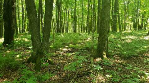 3 Liberty Lane, Phillips, WI 54555