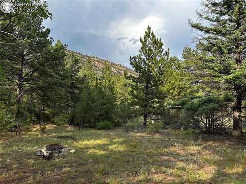 758 Basin Drive, Cotopaxi, CO 81223
