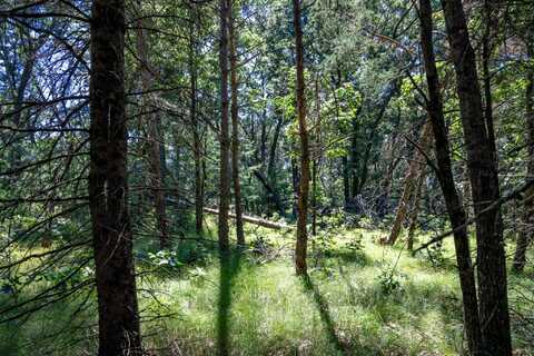 10.42 Acres Kelsey Lane, Lyndon Station, WI 53944