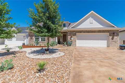 113 Calming Agave Way, San Marcos, TX 78666