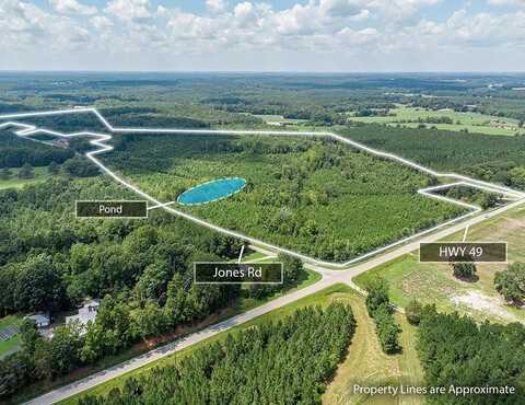 55.44 AC Highway 49, Skipwith, VA 23968