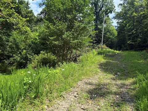 24 Copperhead Rd, Cana, NC 27317