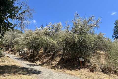 Lot 52 Flying T Drive, California Hot Springs, CA 93207