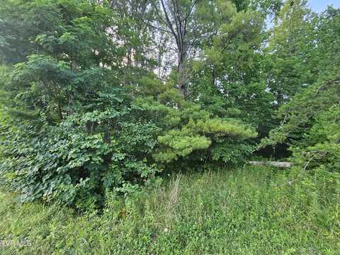 000 Denton Valley Road, Bristol, TN 37620
