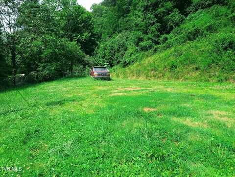 782 Rock Lick Road, Birchleaf, VA 24220