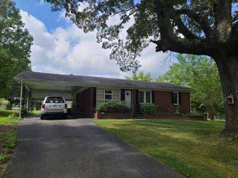 335 Mt. Carmel Road, CAMDEN, TN 38320