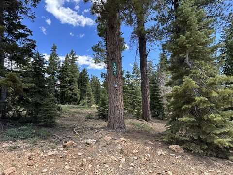 1065 Redwood RD, Duck Creek Village, UT 84762