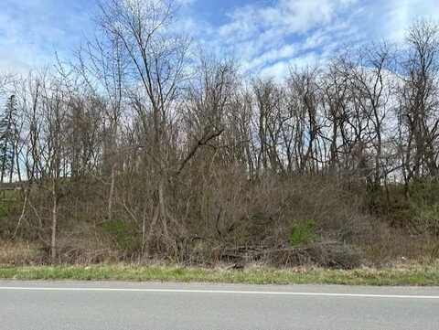 Lot 9 Coyle Curtain, Monongahela, PA 15063