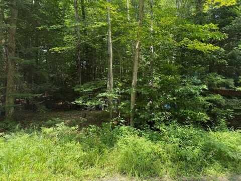 261 Uncas Road, Inlet, NY 13360