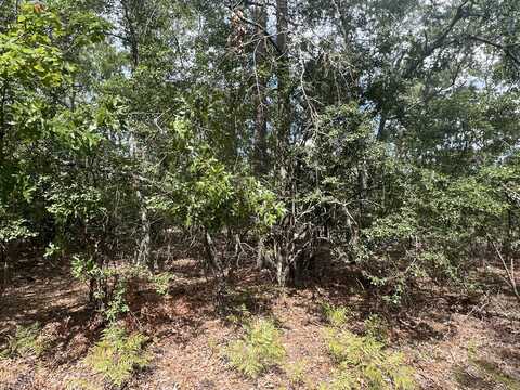 Lot 103-5 Harlem Street, Beech Island, SC 29842