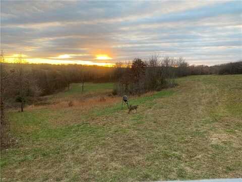 TBD CR 818, Green Forest, AR 72638