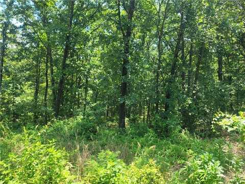 Lot 22, Block 4 Nairn LN, Bella Vista, AR 72715