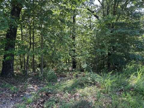 Lot 44 Reading LN, Bella Vista, AR 72714
