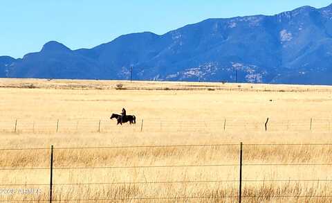Tbd Alexander Lane, Elgin, AZ 85611