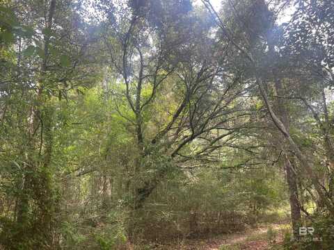 0 McDowell Road, Bay Minette, AL 36507