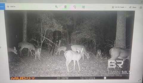 6177 County Road 7, Repton, AL 36475