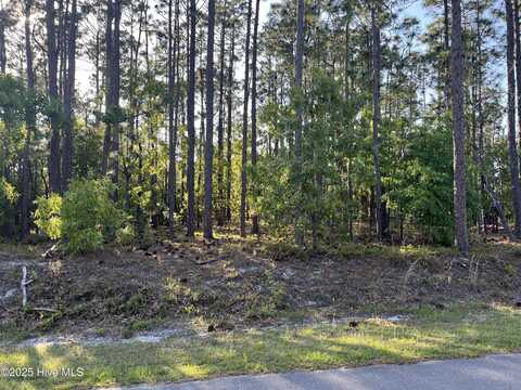 1871 Reidsville Road, Southport, NC 28461