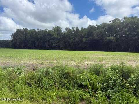 0 Near 403 Flynn Cemet Road, Whiteville, NC 28472