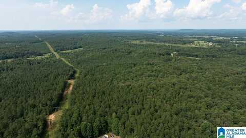 0 WILKERSON ROAD, FAYETTE, AL 35555