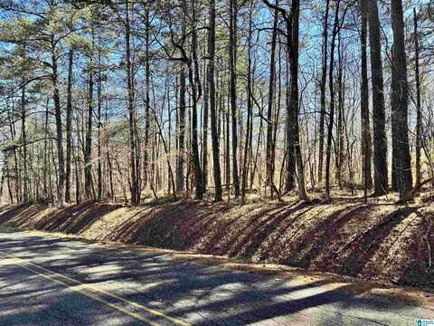 LOT 1 MORTON ROAD, WARRIOR, AL 35180