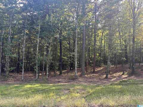LOT 2 MORTON ROAD, WARRIOR, AL 35180