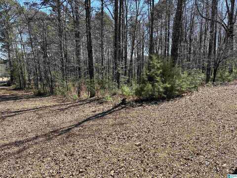 LOT 2 MORTON ROAD, WARRIOR, AL 35180