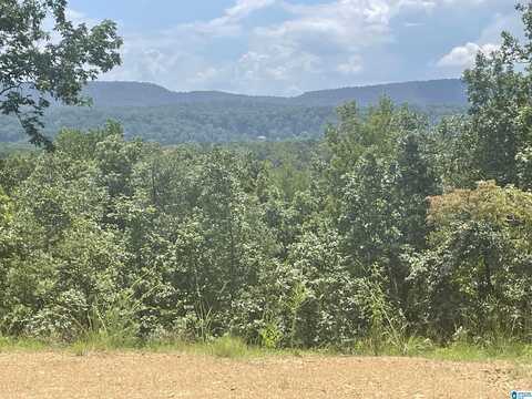 3284 INDIAN CREST DRIVE, INDIAN SPRINGS VILLAGE, AL 35124