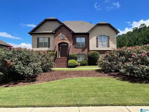 204 PARLIAMENT PARKWAY, ALABASTER, AL 35114