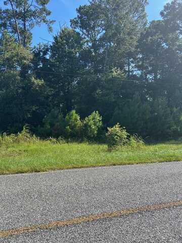 1 Acre Cannonville Rd, Rochelle, GA 31079